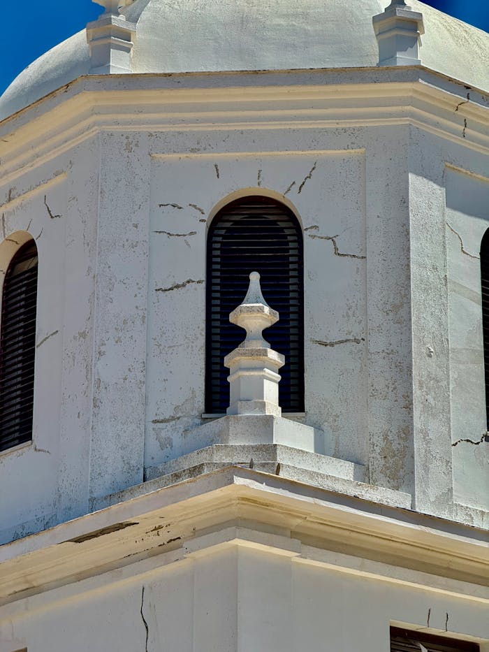 pexels photo 33305347.jpeg